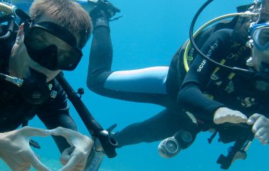 Fun Diving - 2 Dive's (around Koh Tao)