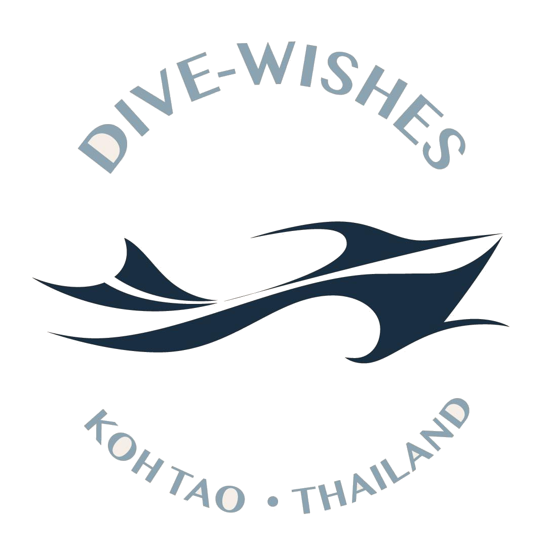 Diving Courses and Diving Trips around Koh Tao with Dive Wishes & More